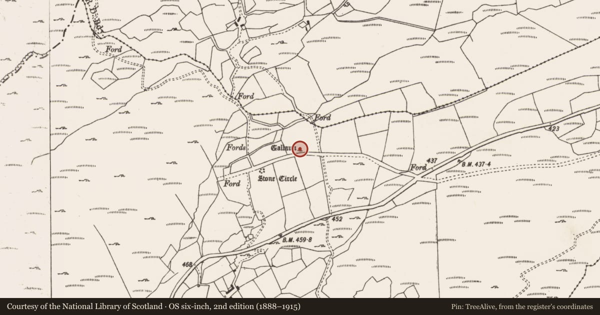 Ordnance Survey six-inch map, 2nd edition (1888–1915) covering the location of Standing stone, Glanycarney, County Cork, with a pin at the register's coordinates