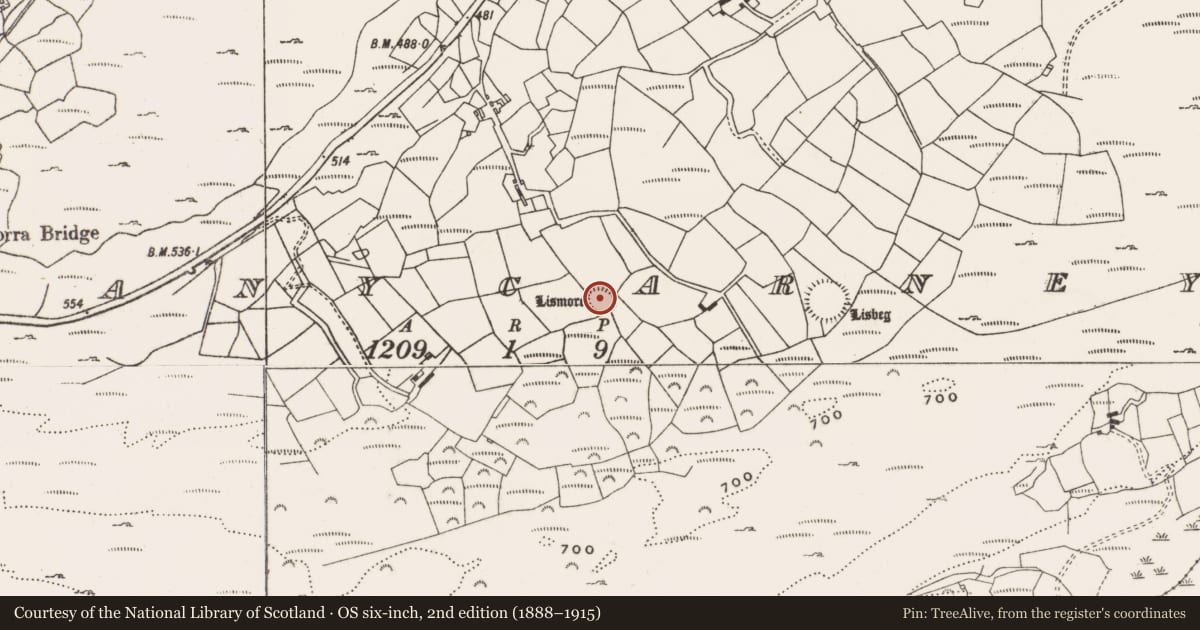 Ordnance Survey six-inch map, 2nd edition (1888–1915) covering the location of Ringfort - rath, Glanycarney, County Cork, with a pin at the register's coordinates