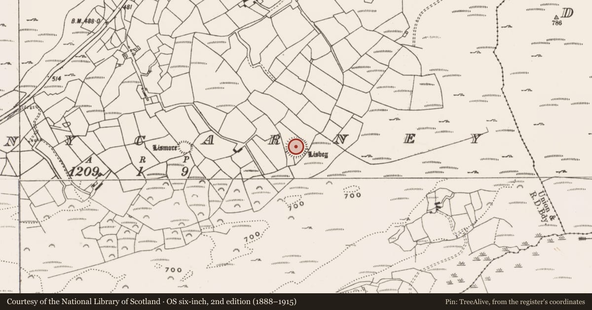Ordnance Survey six-inch map, 2nd edition (1888–1915) covering the location of Ringfort - rath, Glanycarney, County Cork, with a pin at the register's coordinates