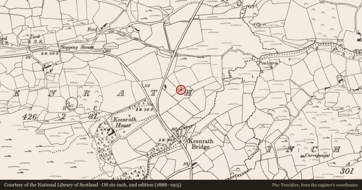 Ordnance Survey six-inch map, 2nd edition (1888–1915) covering the location of Ogham stone, Keenrath, County Cork, with a pin at the register's coordinates