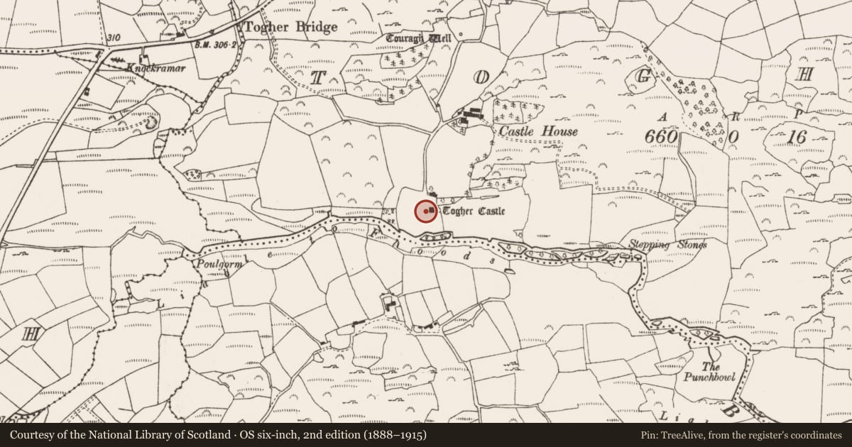 Ordnance Survey six-inch map, 2nd edition (1888–1915) covering the location of Castle - tower house, An Tóchar, County Cork, with a pin at the register's coordinates