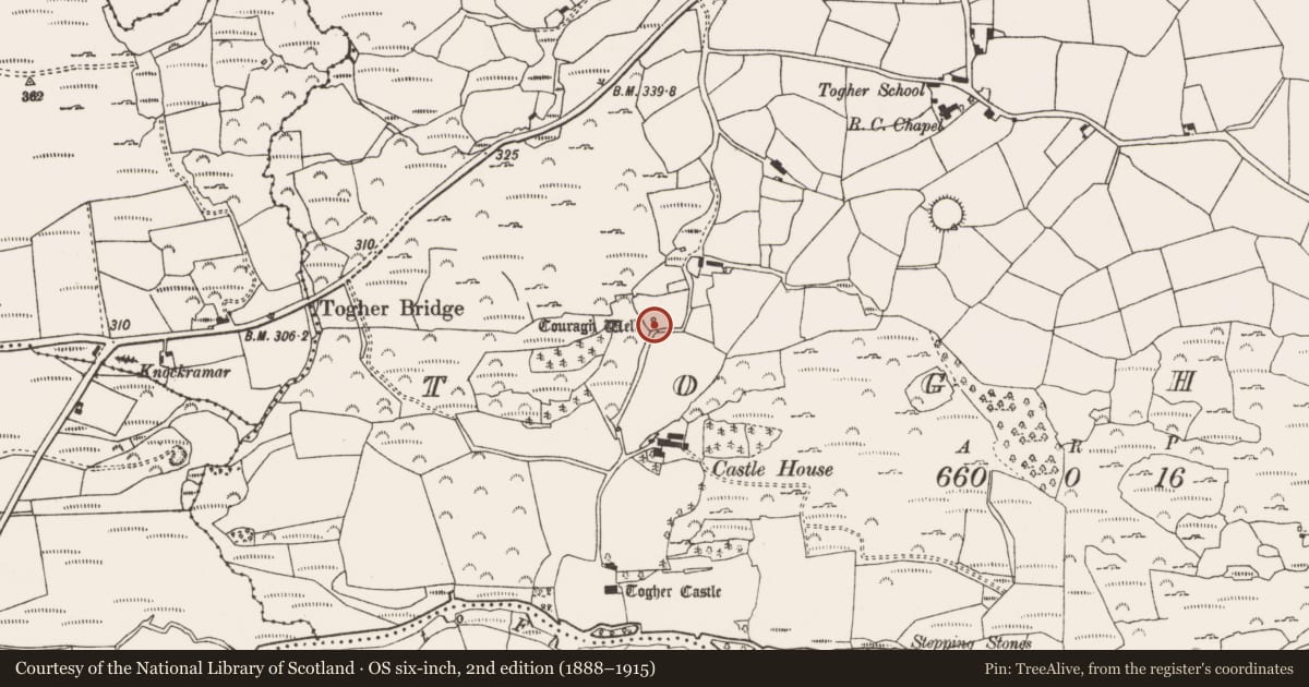 Ordnance Survey six-inch map, 2nd edition (1888–1915) covering the location of Ritual site - holy well, An Tóchar, County Cork, with a pin at the register's coordinates