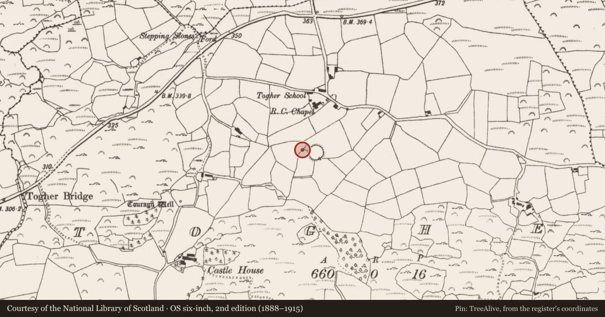 Ordnance Survey six-inch map, 2nd edition (1888–1915) covering the location of Standing stone, An Tóchar, County Cork, with a pin at the register's coordinates
