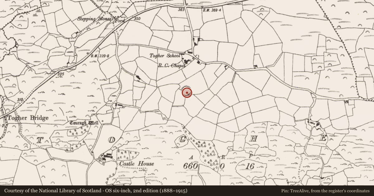 Ordnance Survey six-inch map, 2nd edition (1888–1915) covering the location of Ringfort - rath, An Tóchar, County Cork, with a pin at the register's coordinates