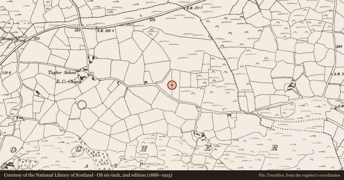 Ordnance Survey six-inch map, 2nd edition (1888–1915) covering the location of Standing stone, An Tóchar, County Cork, with a pin at the register's coordinates