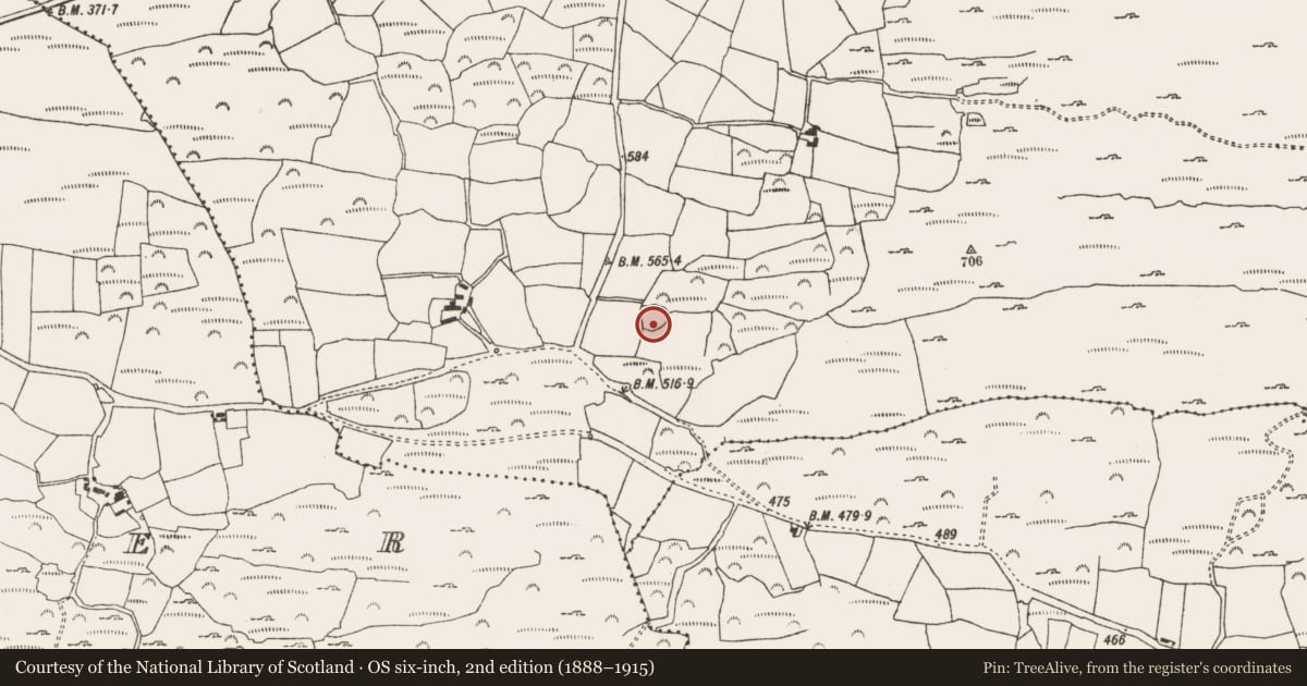 Ordnance Survey six-inch map, 2nd edition (1888–1915) covering the location of Ringfort - rath, Cooranig, County Cork, with a pin at the register's coordinates