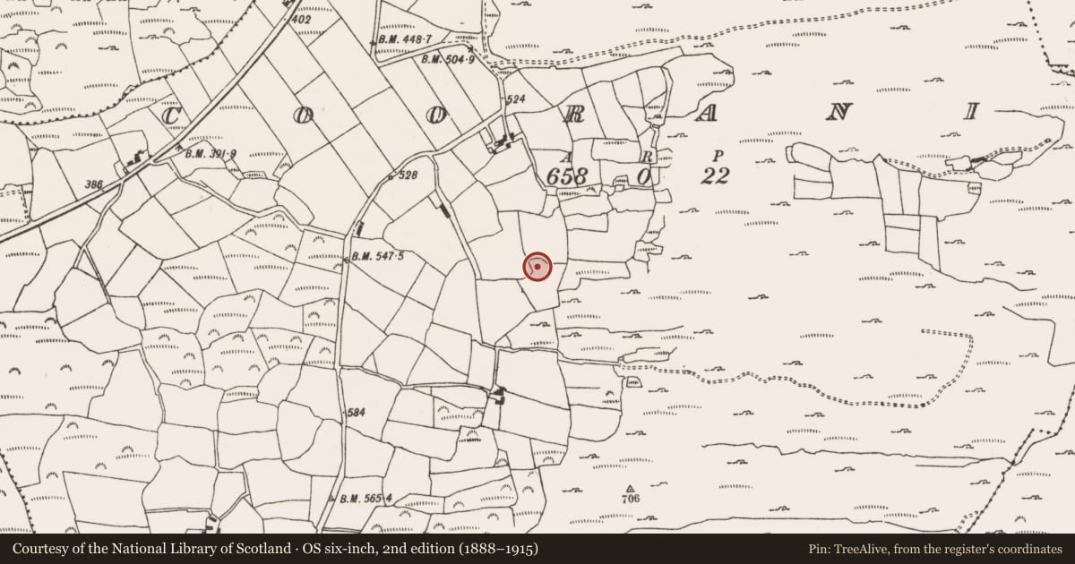 Ordnance Survey six-inch map, 2nd edition (1888–1915) covering the location of Ringfort - cashel, Cooranig, County Cork, with a pin at the register's coordinates