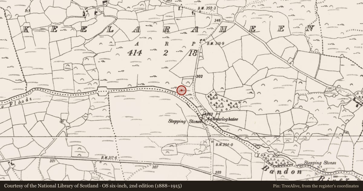 Ordnance Survey six-inch map, 2nd edition (1888–1915) covering the location of Water mill - horizontal-wheeled, Keelaraheen, County Cork, with a pin at the register's coordinates