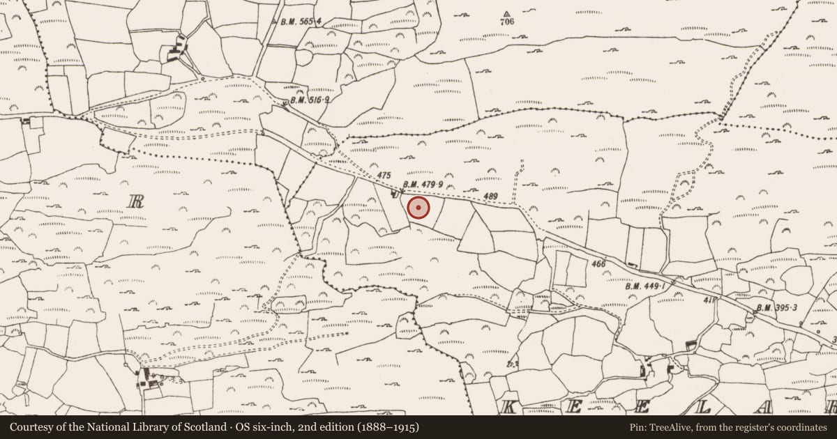 Ordnance Survey six-inch map, 2nd edition (1888–1915) covering the location of Souterrain, Keelaraheen, County Cork, with a pin at the register's coordinates