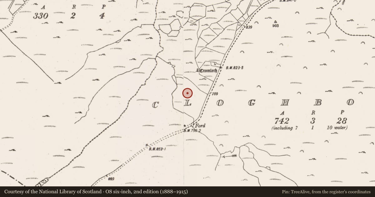 Ordnance Survey six-inch map, 2nd edition (1888–1915) covering the location of Megalithic tomb - wedge tomb, An Chlochbhuaile, County Cork, with a pin at the register's coordinates