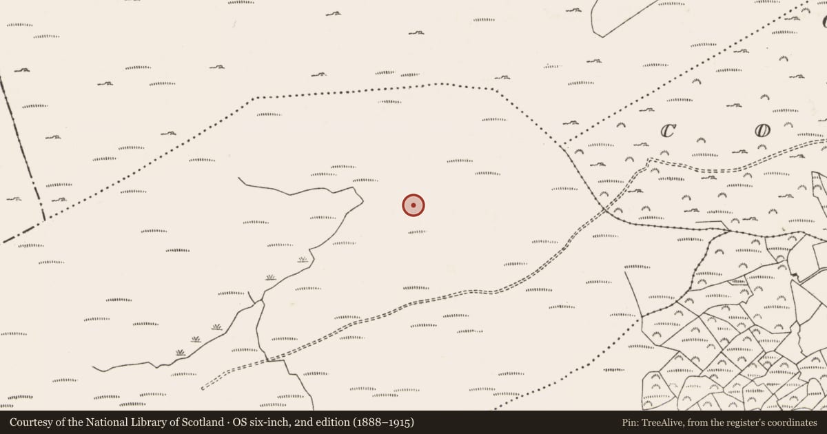 Ordnance Survey six-inch map, 2nd edition (1888–1915) covering the location of Hut site, Shehy Beg, County Cork, with a pin at the register's coordinates