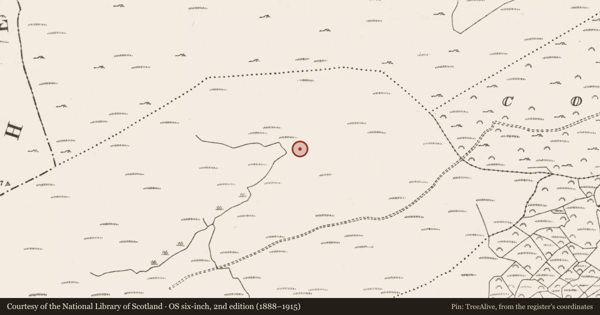 Ordnance Survey six-inch map, 2nd edition (1888–1915) covering the location of Hut site, Shehy Beg, County Cork, with a pin at the register's coordinates