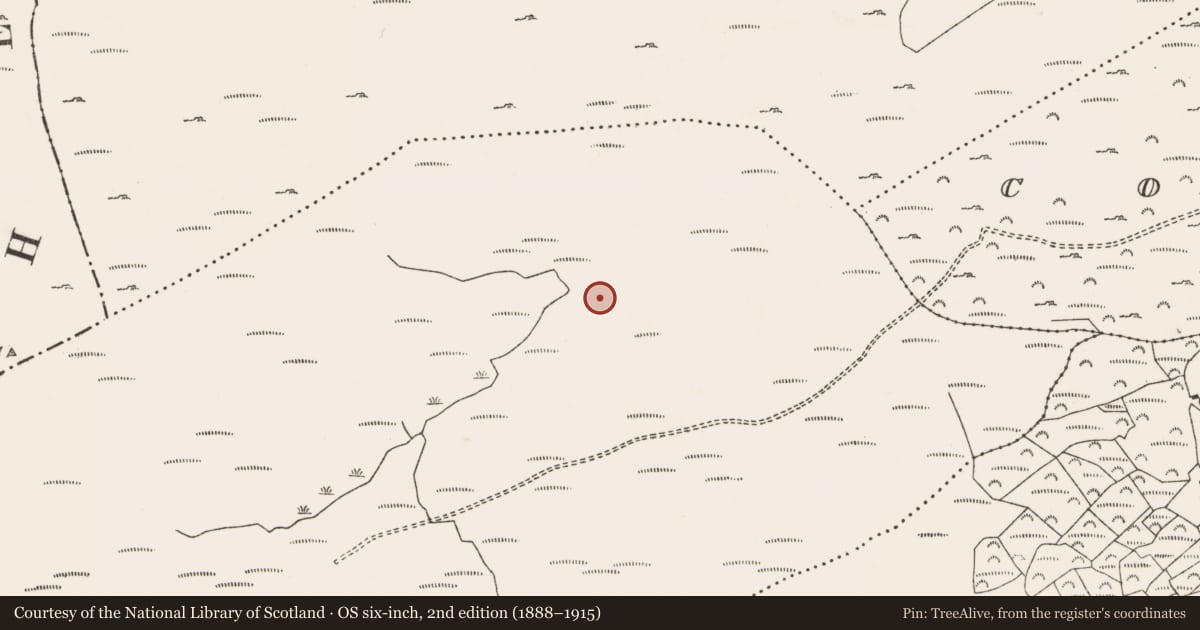 Ordnance Survey six-inch map, 2nd edition (1888–1915) covering the location of Hut site, Shehy Beg, County Cork, with a pin at the register's coordinates