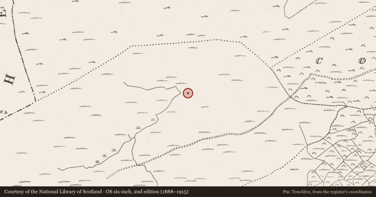 Ordnance Survey six-inch map, 2nd edition (1888–1915) covering the location of Hut site, Shehy Beg, County Cork, with a pin at the register's coordinates