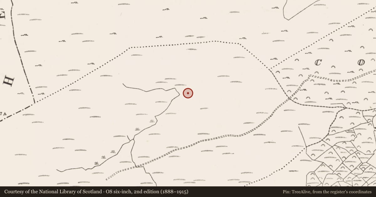 Ordnance Survey six-inch map, 2nd edition (1888–1915) covering the location of Hut site, Shehy Beg, County Cork, with a pin at the register's coordinates