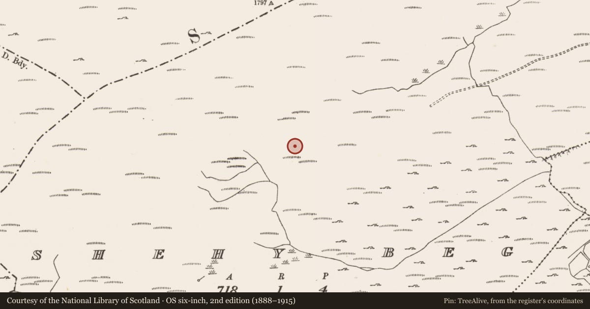 Ordnance Survey six-inch map, 2nd edition (1888–1915) covering the location of Hut site, Shehy Beg, County Cork, with a pin at the register's coordinates