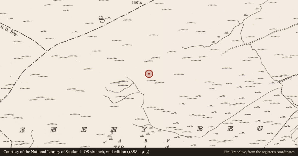 Ordnance Survey six-inch map, 2nd edition (1888–1915) covering the location of Hut site, Shehy Beg, County Cork, with a pin at the register's coordinates