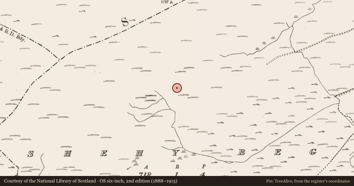 Ordnance Survey six-inch map, 2nd edition (1888–1915) covering the location of Enclosure, Shehy Beg, County Cork, with a pin at the register's coordinates