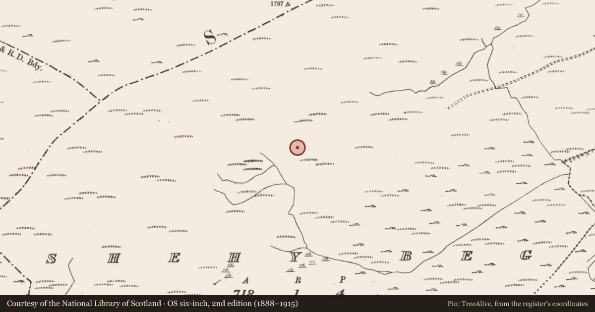 Ordnance Survey six-inch map, 2nd edition (1888–1915) covering the location of Hut site, Shehy Beg, County Cork, with a pin at the register's coordinates