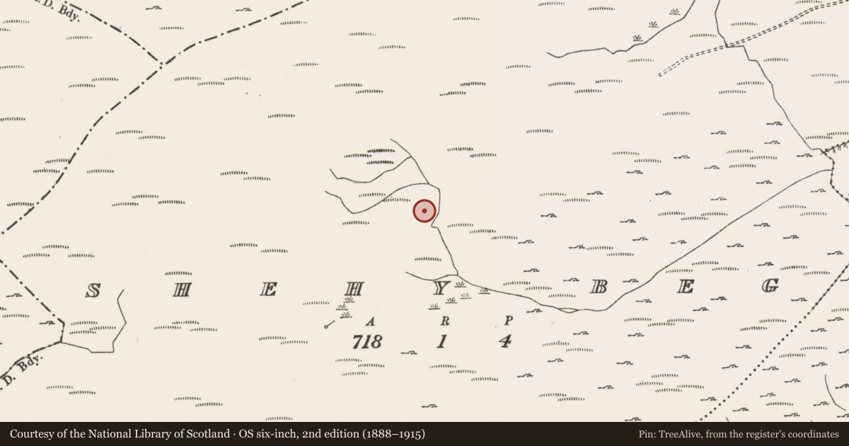 Ordnance Survey six-inch map, 2nd edition (1888–1915) covering the location of Hut site, Shehy Beg, County Cork, with a pin at the register's coordinates