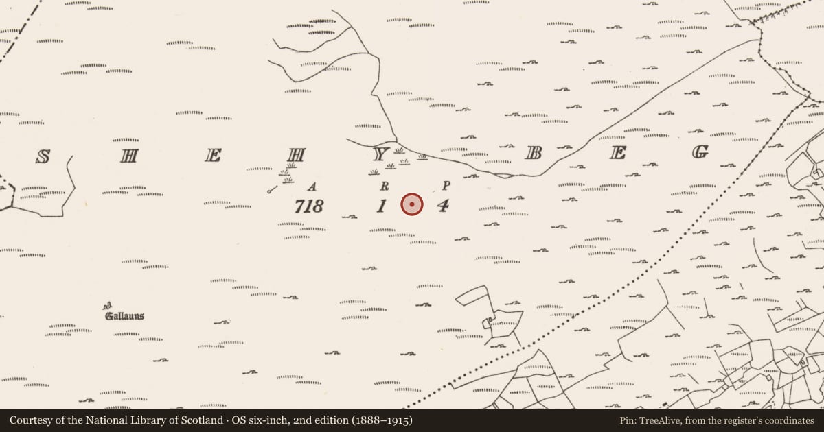 Ordnance Survey six-inch map, 2nd edition (1888–1915) covering the location of Hut site, Shehy Beg, County Cork, with a pin at the register's coordinates