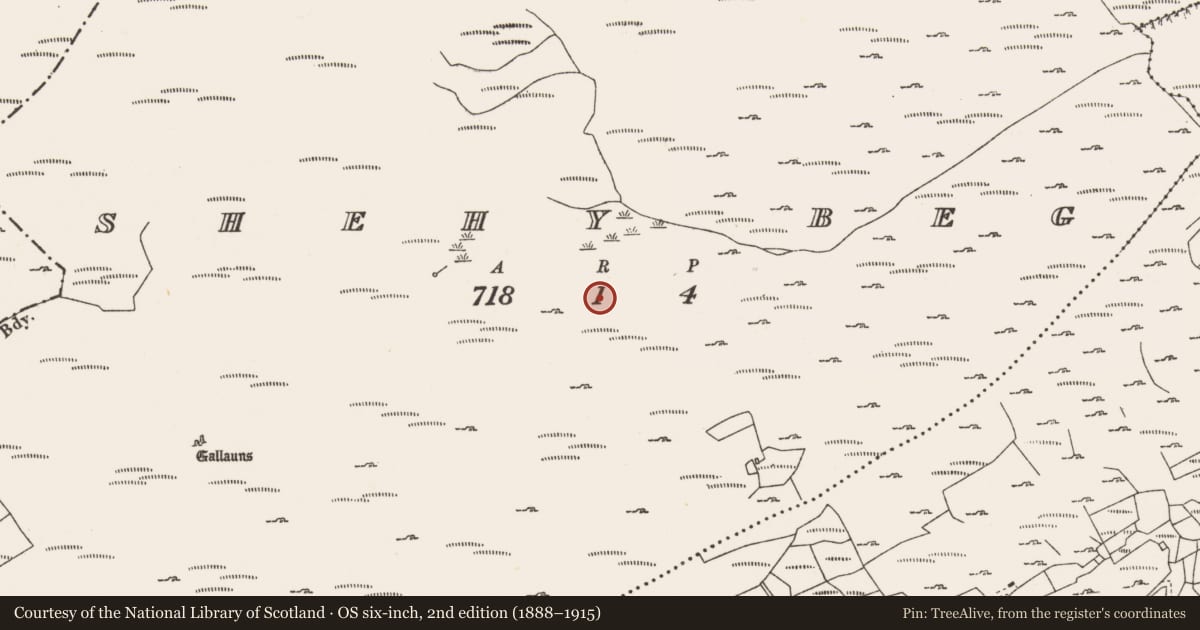 Ordnance Survey six-inch map, 2nd edition (1888–1915) covering the location of Enclosure, Shehy Beg, County Cork, with a pin at the register's coordinates