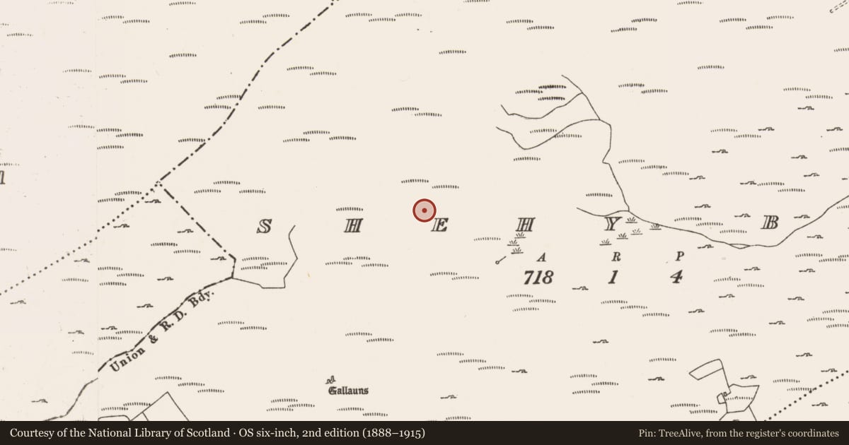 Ordnance Survey six-inch map, 2nd edition (1888–1915) covering the location of Hut site, Shehy Beg, County Cork, with a pin at the register's coordinates