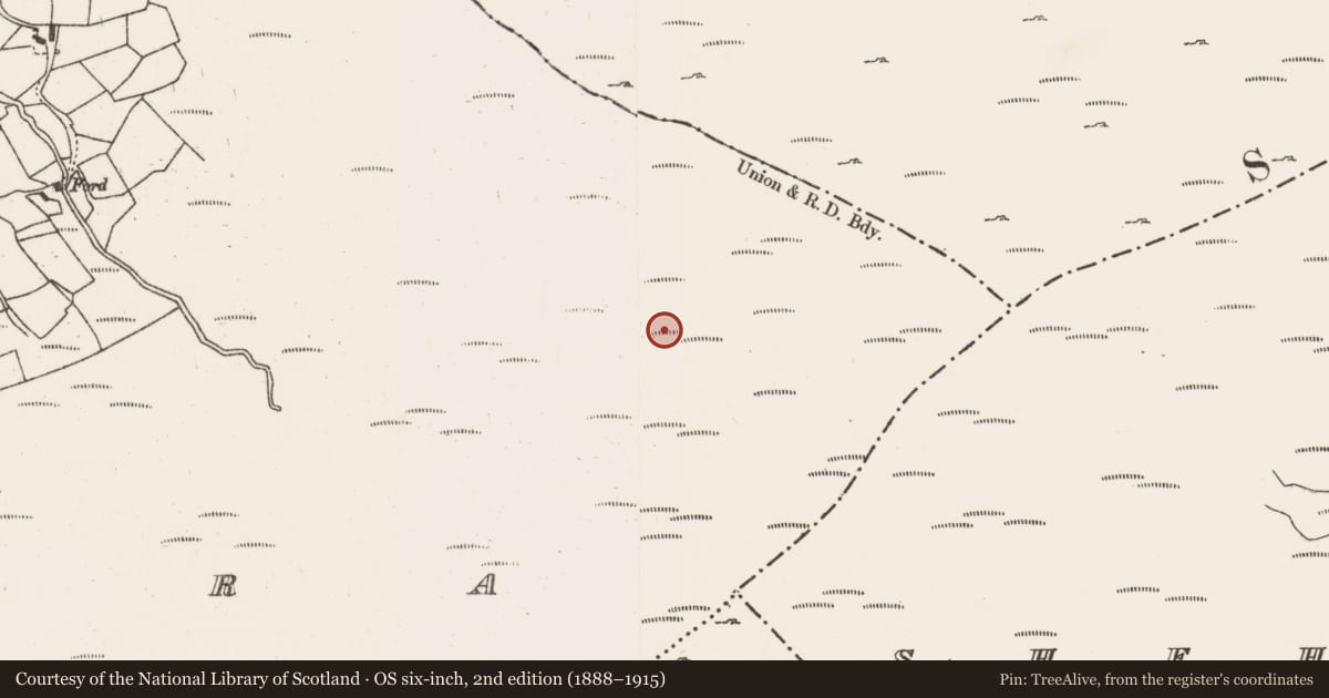 Ordnance Survey six-inch map, 2nd edition (1888–1915) covering the location of Hut site, Gortloughra, County Cork, with a pin at the register's coordinates