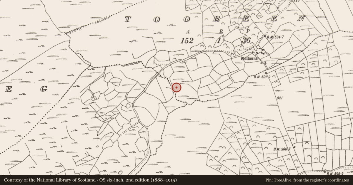 Ordnance Survey six-inch map, 2nd edition (1888–1915) covering the location of Fulacht fia, Tooreen (Carberry East, Western Division), County Cork, with a pin at the register's coordinates