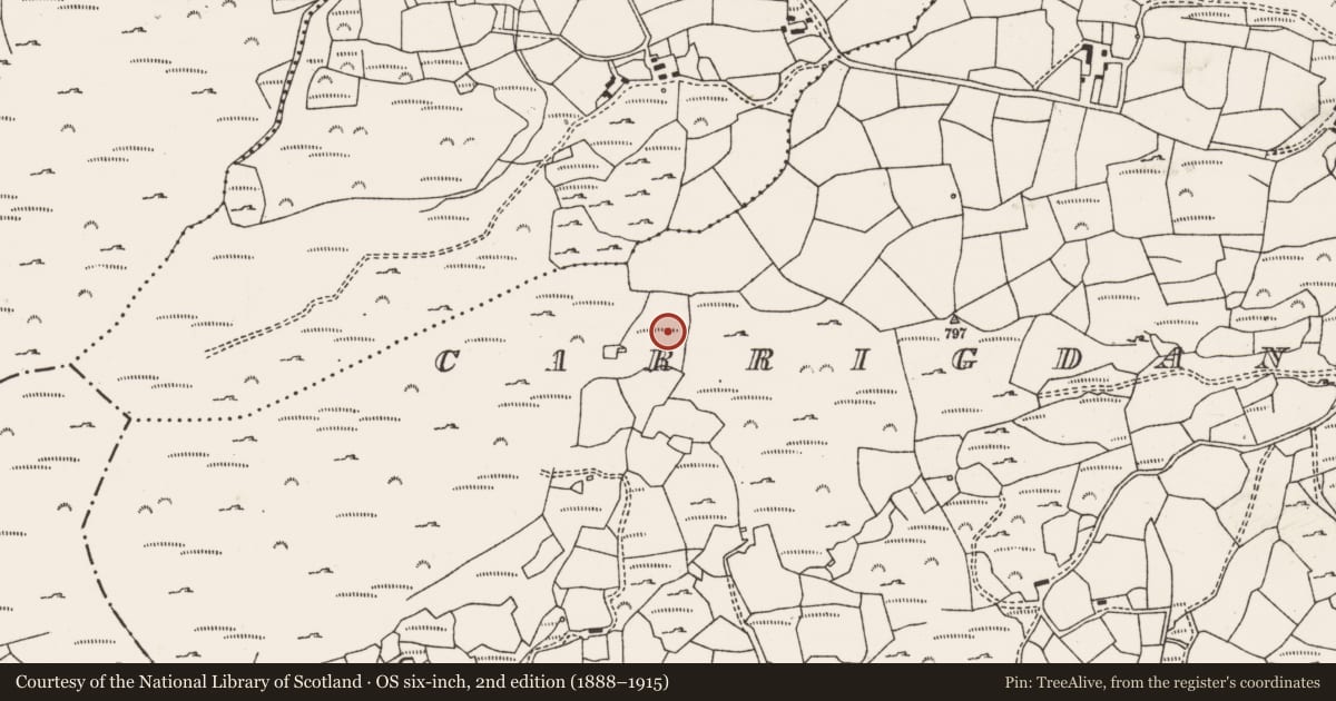 Ordnance Survey six-inch map, 2nd edition (1888–1915) covering the location of Mass-rock, Carrigdangan, County Cork, with a pin at the register's coordinates