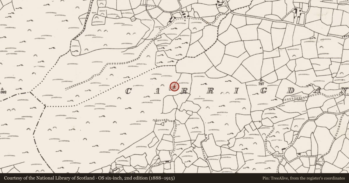 Ordnance Survey six-inch map, 2nd edition (1888–1915) covering the location of Mass-house, Carrigdangan, County Cork, with a pin at the register's coordinates
