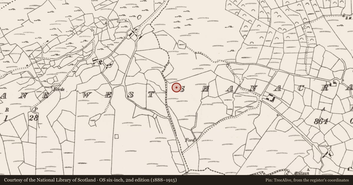 Ordnance Survey six-inch map, 2nd edition (1888–1915) covering the location of Hut site, Shanacrane East, County Cork, with a pin at the register's coordinates