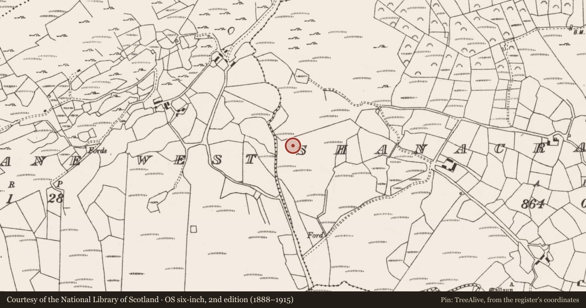 Ordnance Survey six-inch map, 2nd edition (1888–1915) covering the location of Fulacht fia, Tooreen (Carberry East, Western Division), County Cork, with a pin at the register's coordinates