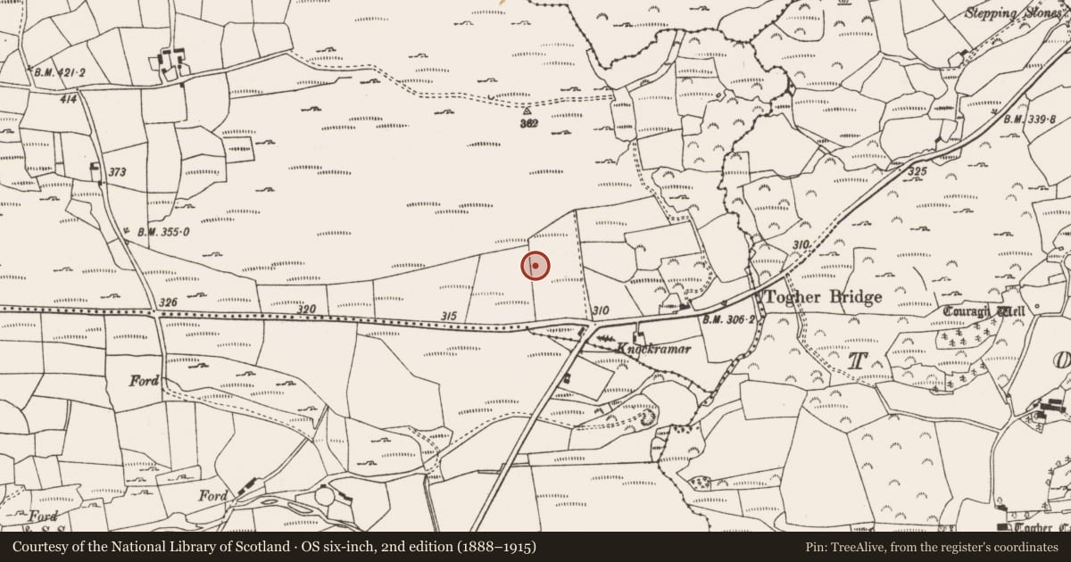 Ordnance Survey six-inch map, 2nd edition (1888–1915) covering the location of Standing stone, Shanacrane East, County Cork, with a pin at the register's coordinates