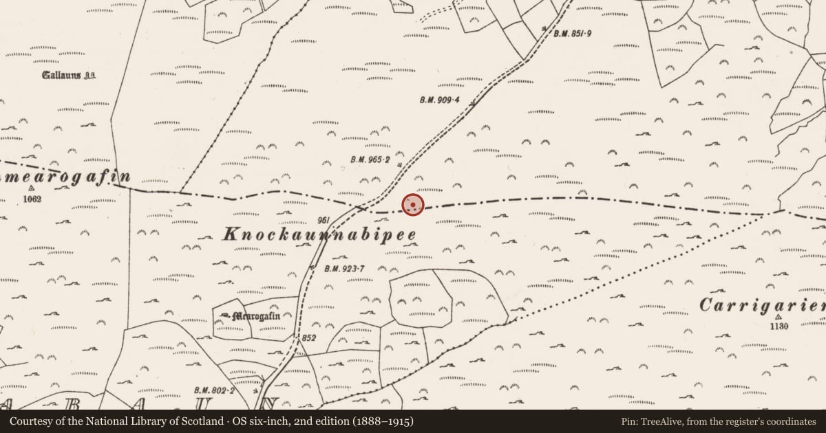 Ordnance Survey six-inch map, 2nd edition (1888–1915) covering the location of Field boundary, Gortnahoughtee, County Cork, with a pin at the register's coordinates