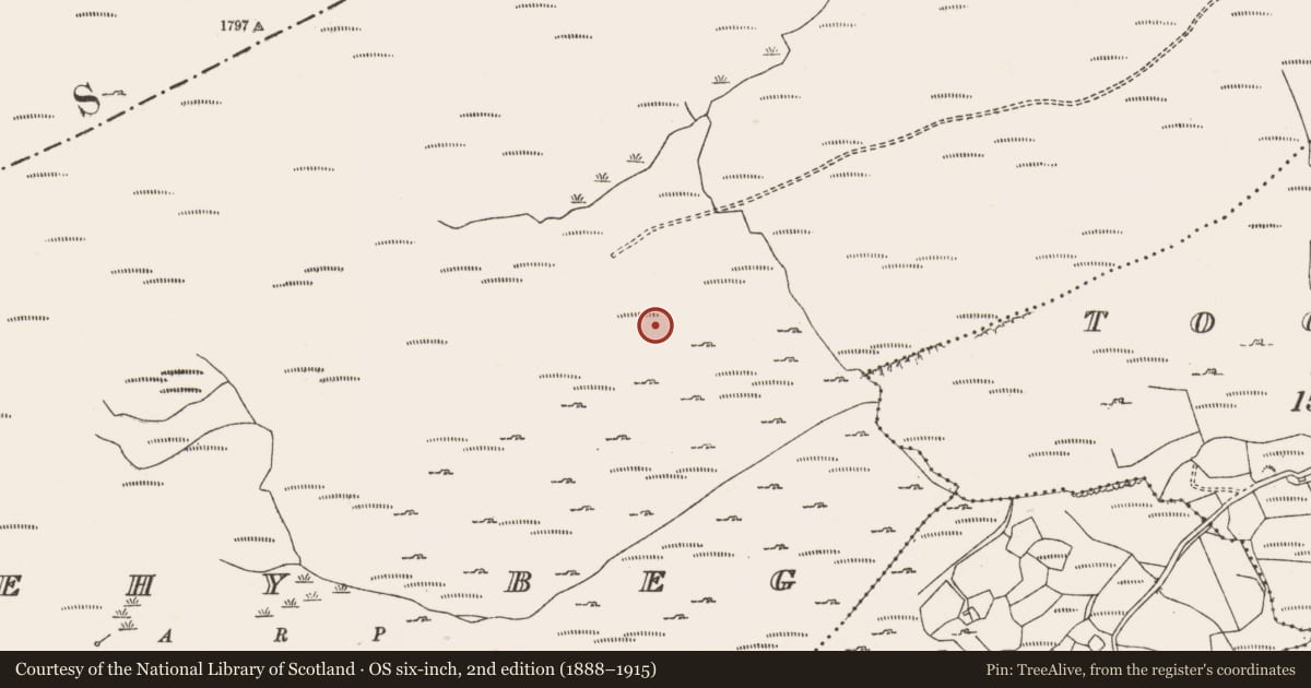 Ordnance Survey six-inch map, 2nd edition (1888–1915) covering the location of Field boundary, Shehy Beg, County Cork, with a pin at the register's coordinates