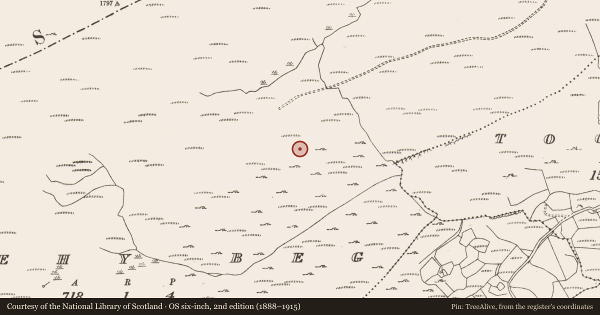 Ordnance Survey six-inch map, 2nd edition (1888–1915) covering the location of Hut site, Shehy Beg, County Cork, with a pin at the register's coordinates
