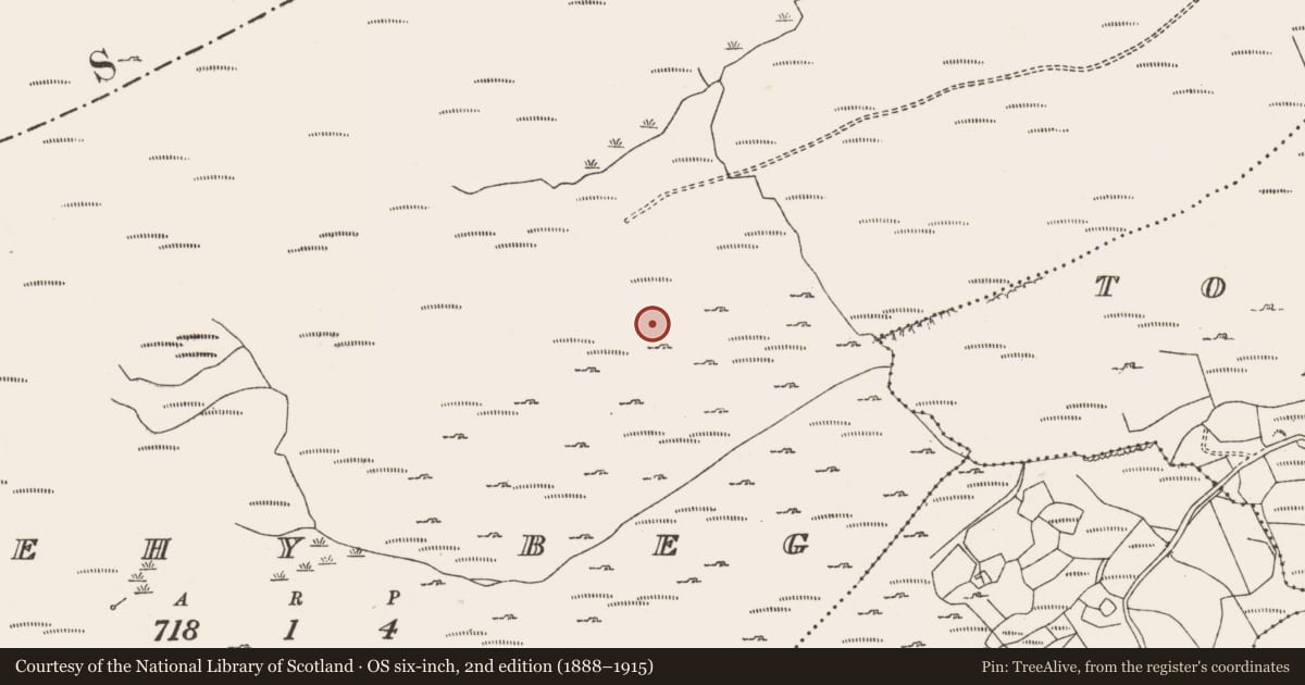 Ordnance Survey six-inch map, 2nd edition (1888–1915) covering the location of Enclosure, Shehy Beg, County Cork, with a pin at the register's coordinates