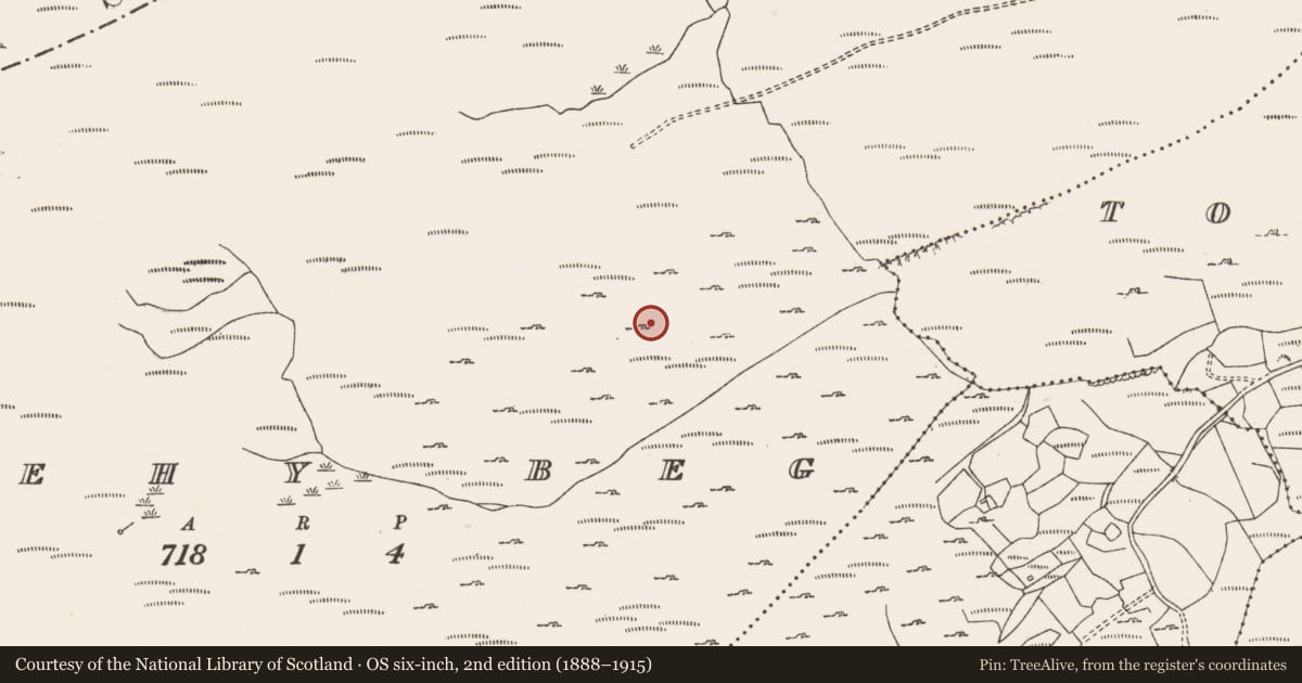 Ordnance Survey six-inch map, 2nd edition (1888–1915) covering the location of Field boundary, Shehy Beg, County Cork, with a pin at the register's coordinates