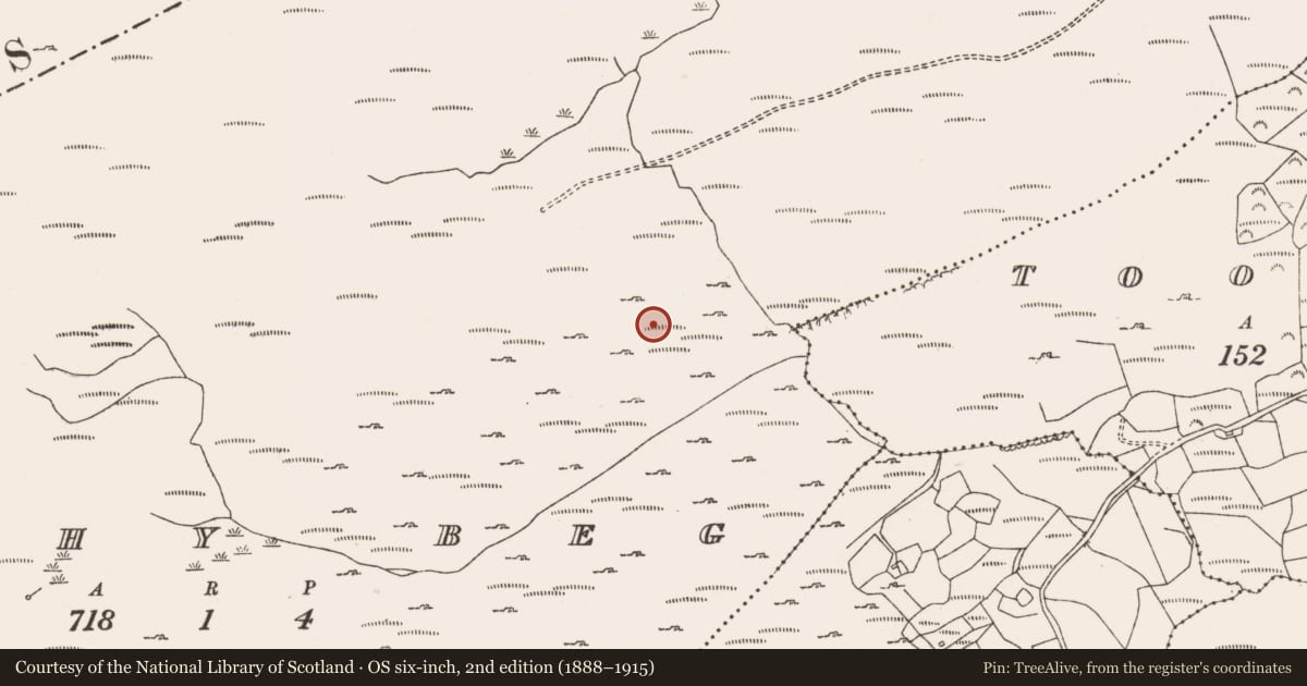 Ordnance Survey six-inch map, 2nd edition (1888–1915) covering the location of Field boundary, Shehy Beg, County Cork, with a pin at the register's coordinates