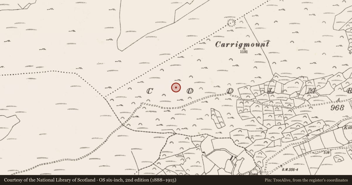 Ordnance Survey six-inch map, 2nd edition (1888–1915) covering the location of Burnt spread, Coolmountain, County Cork, with a pin at the register's coordinates