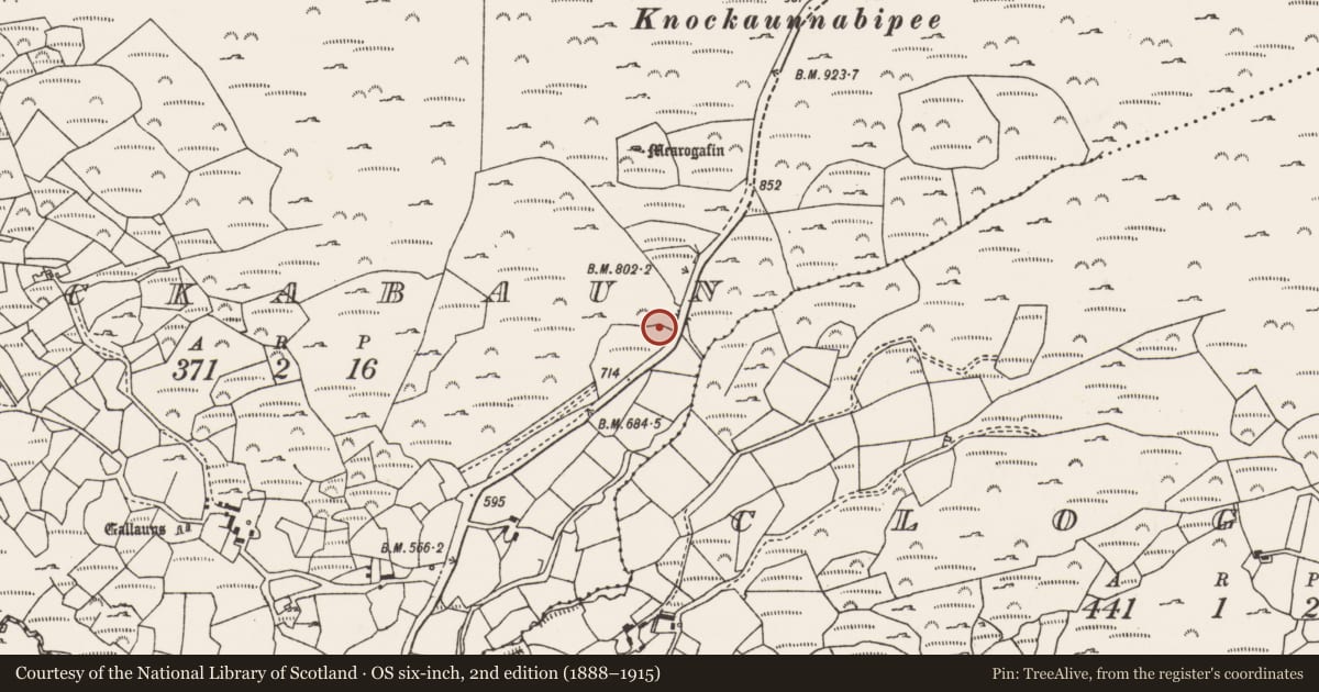 Ordnance Survey six-inch map, 2nd edition (1888–1915) covering the location of Mass-rock, Lackabaun, County Cork, with a pin at the register's coordinates