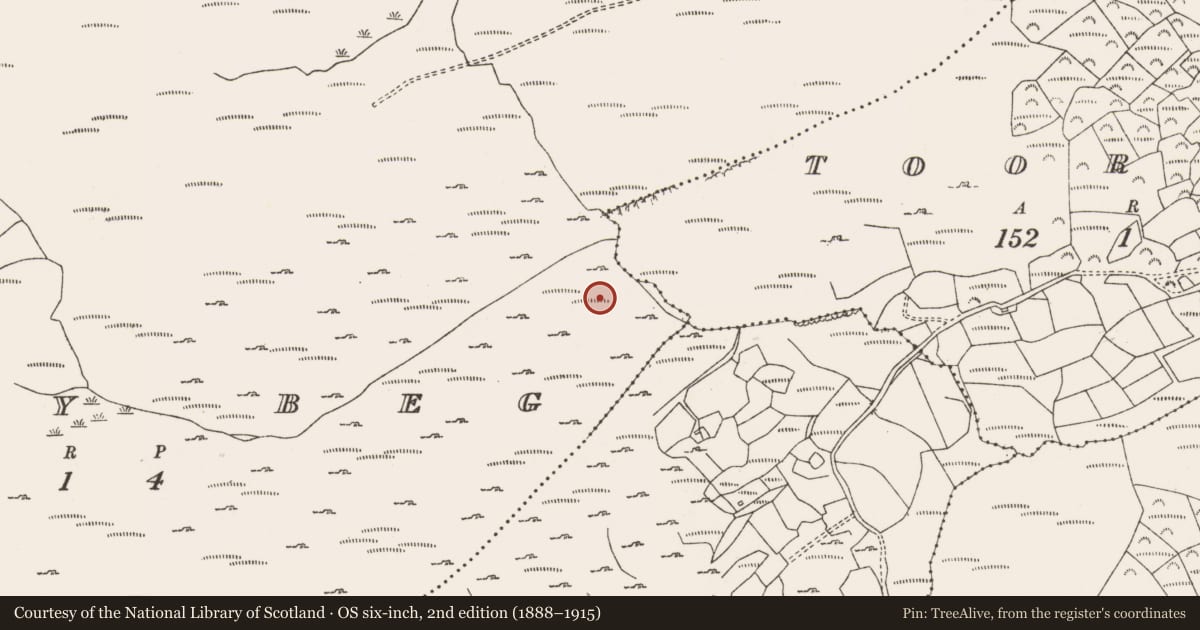 Ordnance Survey six-inch map, 2nd edition (1888–1915) covering the location of Field boundary, Shehy Beg, County Cork, with a pin at the register's coordinates
