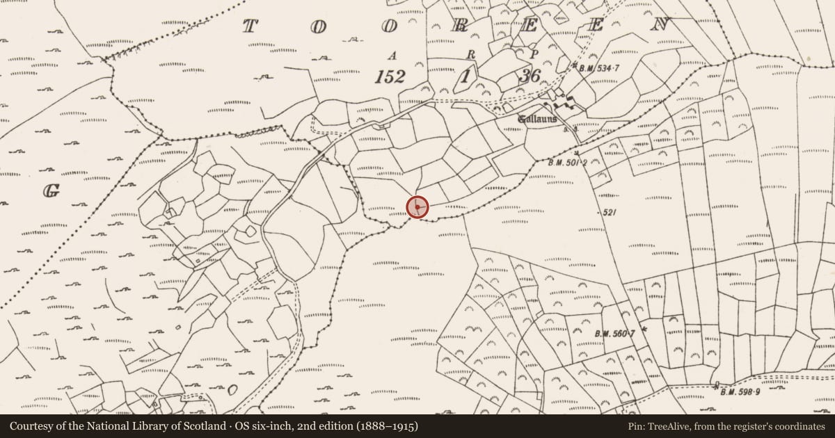 Ordnance Survey six-inch map, 2nd edition (1888–1915) covering the location of Fulacht fia, Tooreen (Carberry East, Western Division), County Cork, with a pin at the register's coordinates