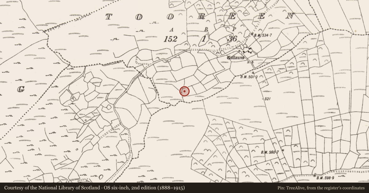 Ordnance Survey six-inch map, 2nd edition (1888–1915) covering the location of Fulacht fia, Tooreen (Carberry East, Western Division), County Cork, with a pin at the register's coordinates