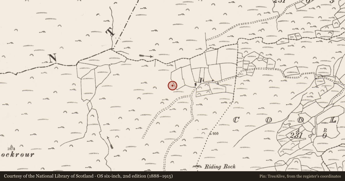 Ordnance Survey six-inch map, 2nd edition (1888–1915) covering the location of Enclosure, Shehy More, County Cork, with a pin at the register's coordinates