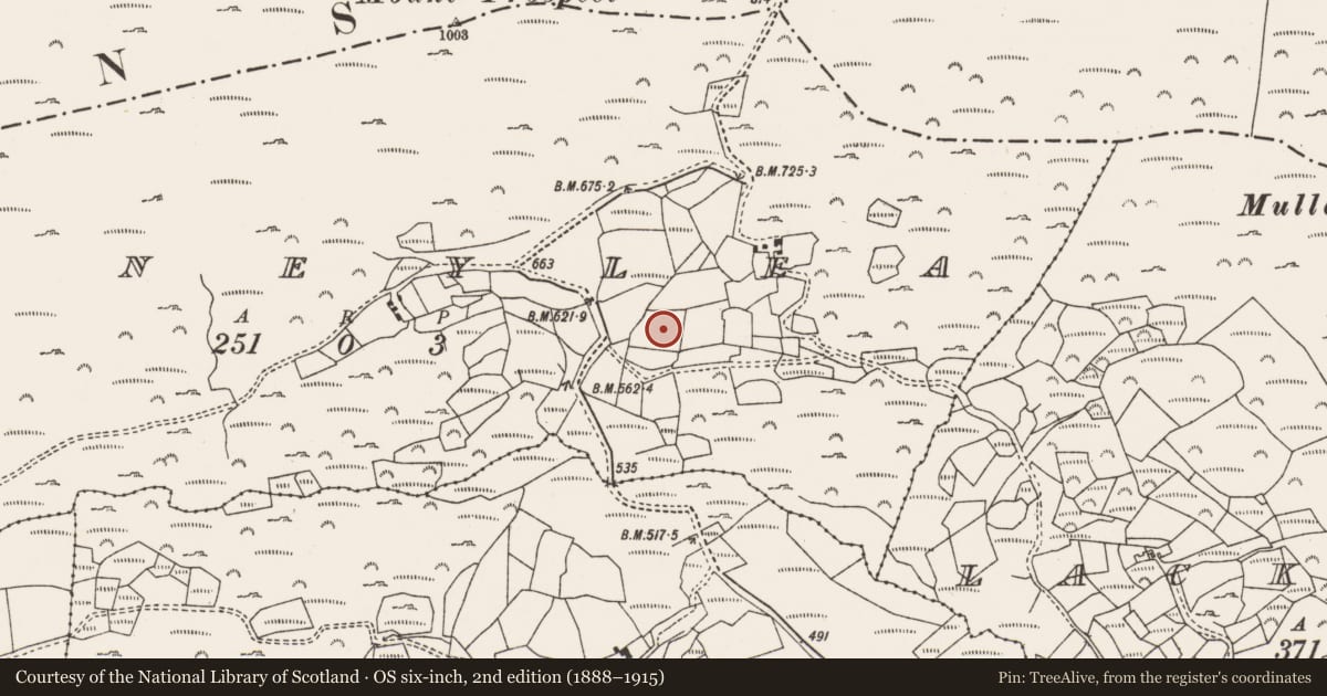 Ordnance Survey six-inch map, 2nd edition (1888–1915) covering the location of Souterrain, Moneylea, County Cork, with a pin at the register's coordinates