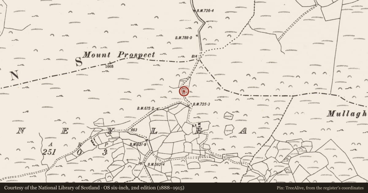 Ordnance Survey six-inch map, 2nd edition (1888–1915) covering the location of Children's burial ground, Moneylea, County Cork, with a pin at the register's coordinates