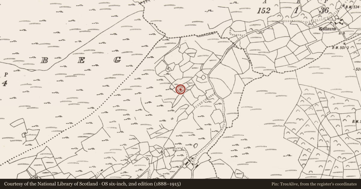 Ordnance Survey six-inch map, 2nd edition (1888–1915) covering the location of House - 18th/19th century, Shanacrane West, County Cork, with a pin at the register's coordinates