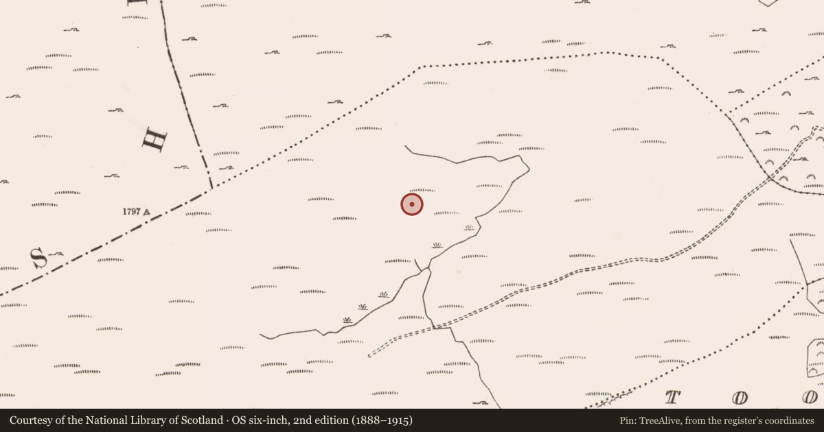 Ordnance Survey six-inch map, 2nd edition (1888–1915) covering the location of Hut site, Shehy Beg, County Cork, with a pin at the register's coordinates